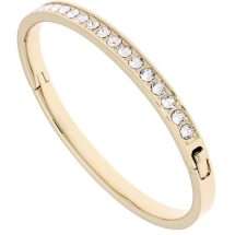 Ted Baker Yellow Gold Bangle TBJ1567-02-02