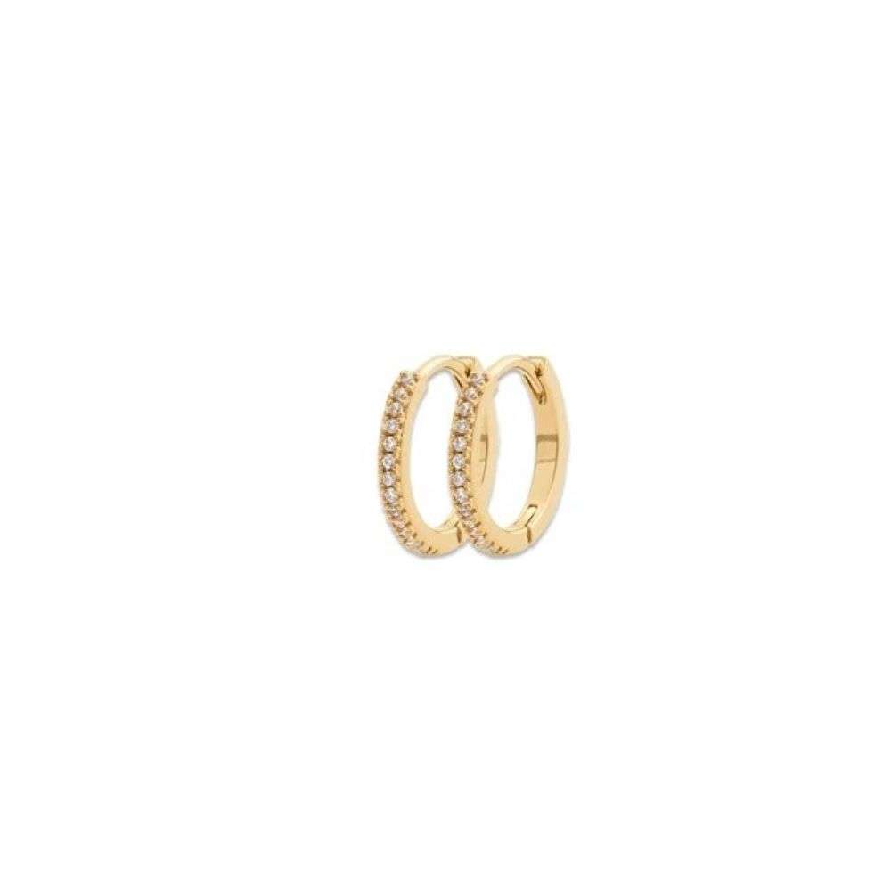e0757-Burren-jewellery-18k-gold-plated-dont-believe-the-hype-earrings-front-view-front-image