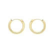 9ct Yellow Gold Polished Tube Hoop Earrings