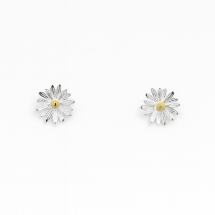 Sterling Silver 14ct Gold Daisy Stud Earrings