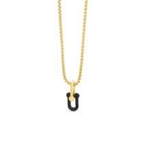 Absolute Gold Black CZ Stirup Pendant N2383JT