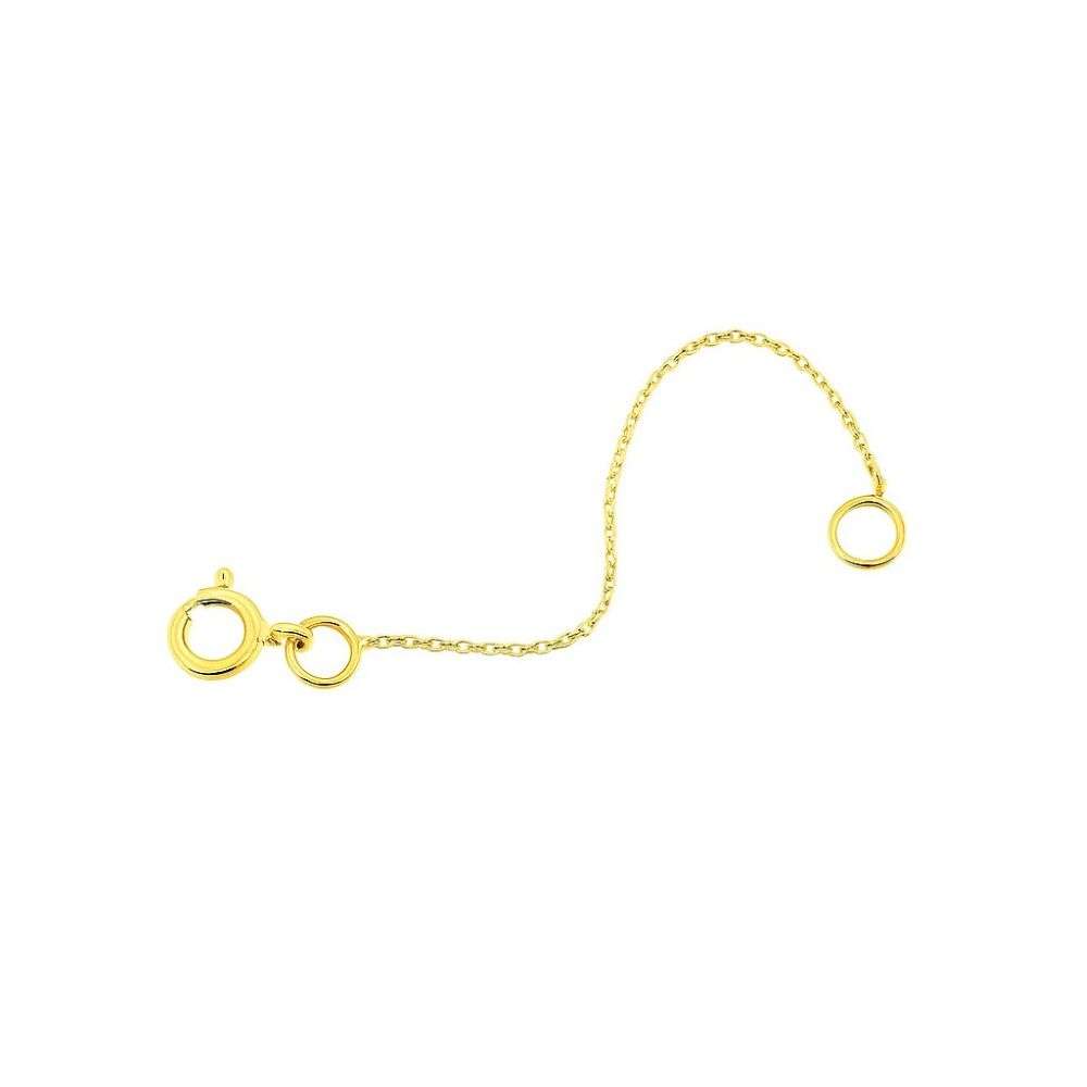 1.01.7721-9ct-yellow-gold-2-inch-extension-loose-image