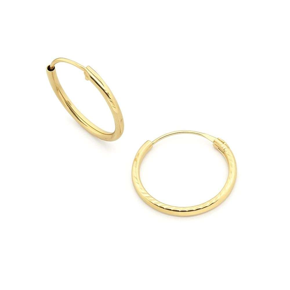 1.53.9859-9ct-yellow-gold-diamond-cut-sleeper-earrings-flat-image-1000-x-1000