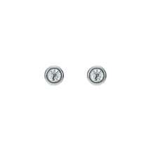 Ted Baker Sinaa Mini Silver Crystal Stud Earrings TBJ3124-01-02