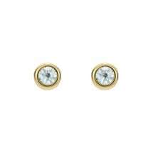 Ted Baker Sinaa Mini Gold Crystal Stud Earrings TBJ3124-02-02