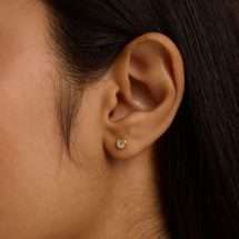 Ted Baker Sinaa Mini Gold Crystal Stud Earrings TBJ3124-02-02