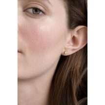 Ted Baker Harmony Gold Tone Mini Heart Earrings TBJ4172-02-02