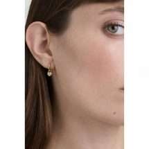 Ted Baker Harper Gold Mini Heart Huggie Earrings TBJ4173-02-02