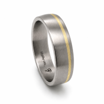 Titanium Men's 6mm With 9ct Yellow Gold Ring