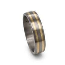 Titanium Men's 6mm Court Double 9ct yellow Gold Lined Ring