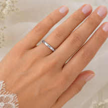 Platinum 2.5mm Medium Traditional Court Wedding Ring