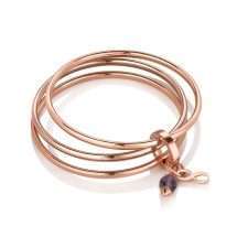 Newbridge Ti Amo February Birthstone Bangle EOJ101FEB