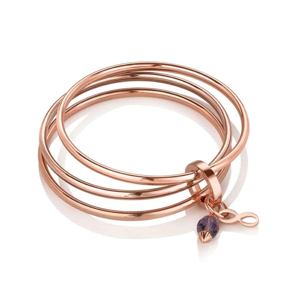 EOJ101FEB NEWBRIDGE TRIPLE ROSE GOLD February BANGLE FRONT IMAGE EOJ101FEB NEWBRIDGE TRIPLE ROSE GOLD February BANGLE FRONT IMAGE