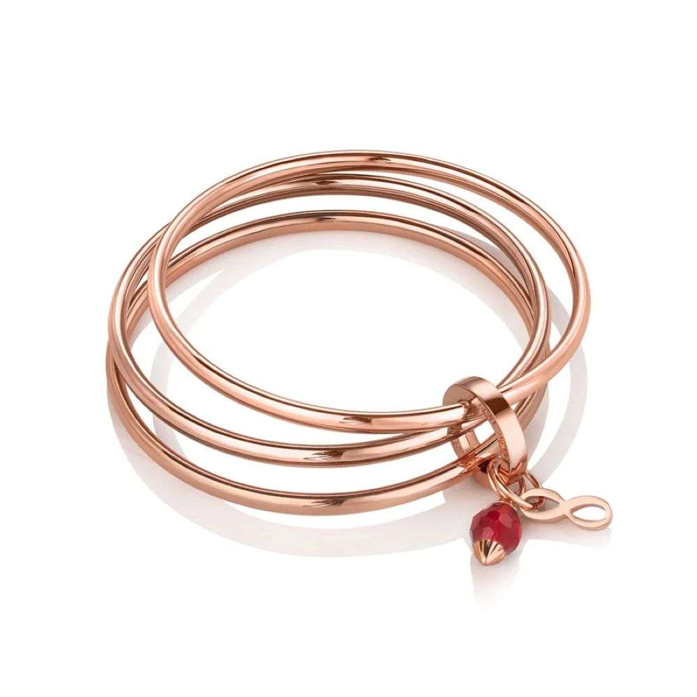 EOJ101JAN NEWBRIDGE TRIPLE ROSE GOLD January BANGLE FRONT IMAGE EOJ101JAN NEWBRIDGE TRIPLE ROSE GOLD January BANGLE FRONT IMAGE